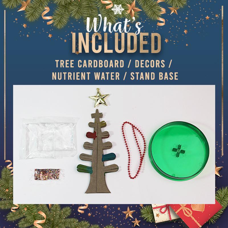 Miracle Growing Christmas Tree（Growth is complete after 24 hours）