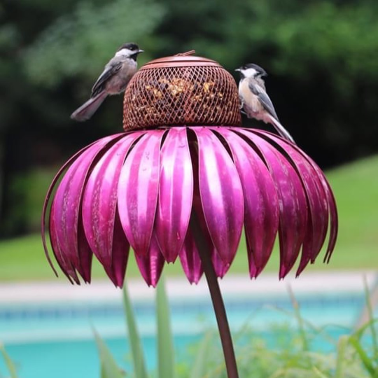 Last Day Promotion 75% OFF - Sensation Pink Coneflower Bird Feeder