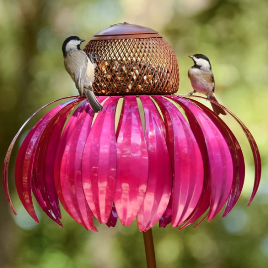 Last Day Promotion 75% OFF - Sensation Pink Coneflower Bird Feeder