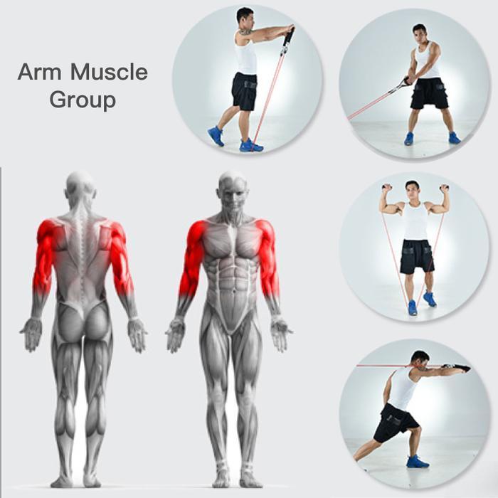 Resistance Band Set ( 11 Piece Set )-Buy 2 Free Shipping