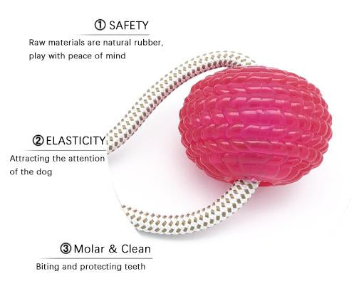 【Anniversary sale -50% OFF】Multifunction Pet Molar Bite Toy