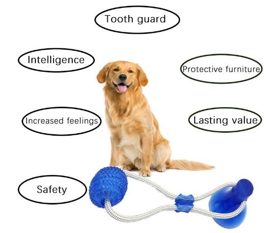 【Anniversary sale -50% OFF】Multifunction Pet Molar Bite Toy